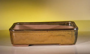 Olive Green Ceramic Bonsai Pot - Rectangle-11.5 x 8.5 x 3.0