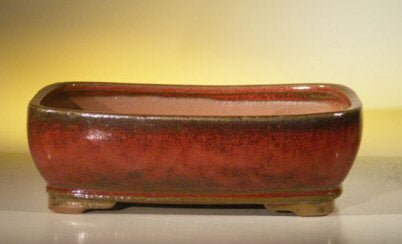 Parisian Red Ceramic Bonsai Pot - Rectangle-10.5 x 8.0 x 3.5