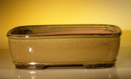 Olive Green Ceramic Bonsai Pot - Rectangle -12.0 x 9.5 x 3.375 OD -11.75 x 9.25 x 3 ID