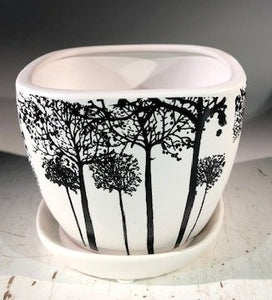 Tree Silhouette Bonsai Pot - Square-With Attached Humidity / Drip Tray-4.5 x 4.5 x 4