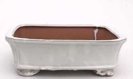 White Ceramic Bonsai Pot - Rectangle-12.5 x 10.0 x 4.0