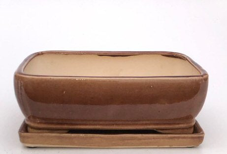 Aztec Orange Ceramic Bonsai Pot - Rectangle -With Humidity Drip Tray -11 x 8.25 x 3.5