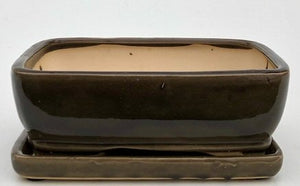 Crackle Bronze Ceramic Bonsai Pot - Rectangle-With Humidity Drip Tray-8.75 x 6.75 x 3