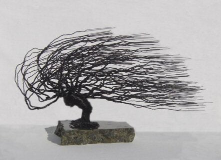 Wire Bonsai Tree Sculpture - Windswept  Style